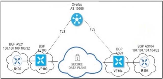 2025 Latest Cisco 300-415 dumps Exam Questions 4