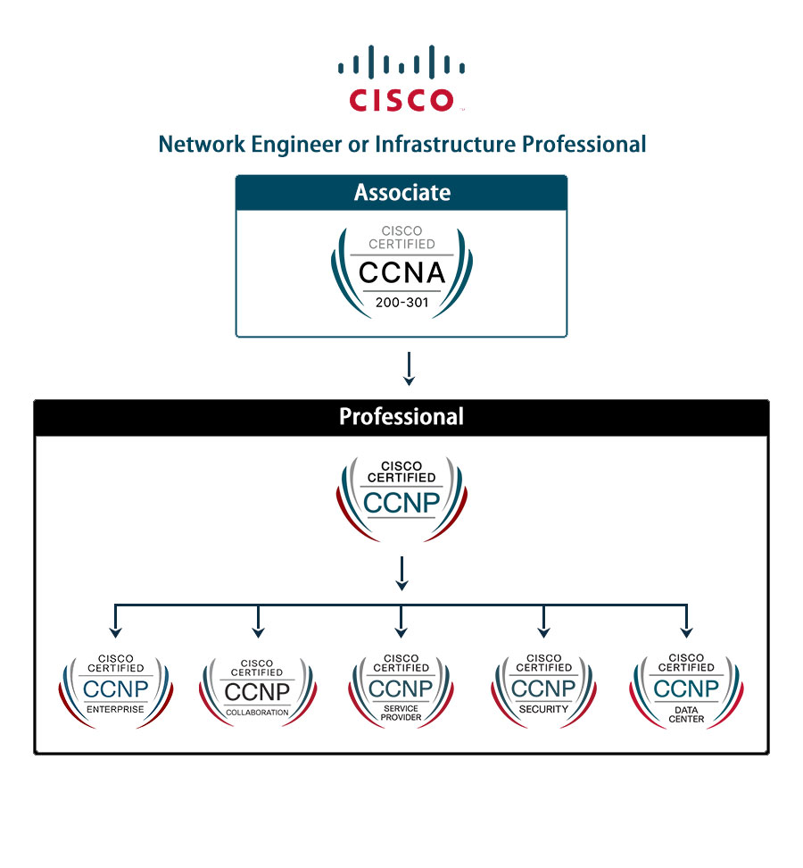 Network Engineer or Infrastructure Professional